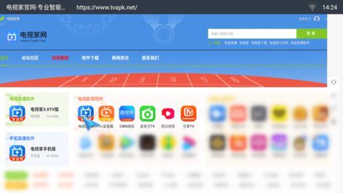 专业级工具，网易云课官方下载及历史版本下载软件，高速规划响应方案_精简版_v3.644