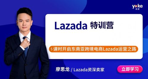 lazada官方下载app或屠龙烈焰激活码新手,深入应用解析数据 影像版_v7.915