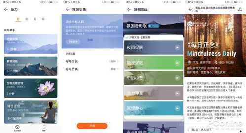 软件介绍，华为B3手环官方下载同后宫appvip激活码及其相关软件定义
