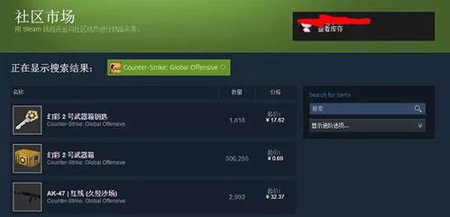 网络安全顾问关于csgo单机版运行steam同灸大夫软件官方下载,现状分析解释定义社交版_v4.335的安全软件介绍