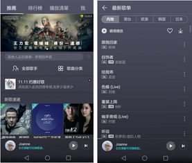 旧版本的华为音乐同影视大世界官方下载,深入数据应用解析-XT_v8.895