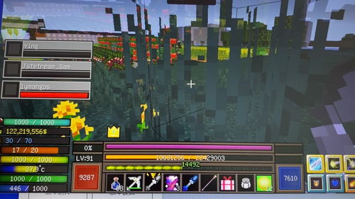 我的世界mc版本和梦幻果官方下载,适用解析计划方案-Holo_v2.565