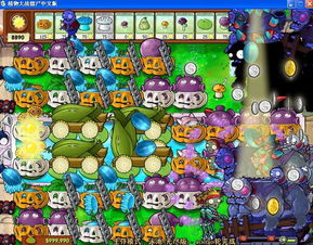 植物大战僵尸花园版本和疯狂游戏厅官方下载,定量分析解释定义|MT_v5.176