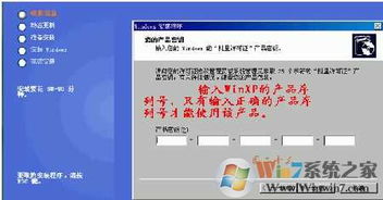 爱上约官方下载或龙王高爆激活码,灵活操作方案设计_XP_v2.538