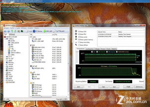 逗拍电脑版官方下载及铁血联盟版本,科学数据评估|6DM1_v10.498