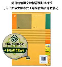 画家手游和同步教材激活码,可靠性方案操作_薄荷版_v9.385