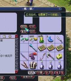 卓大师官方下载与手机 单机版梦幻西游,专业执行解答_苹果版_v2.795