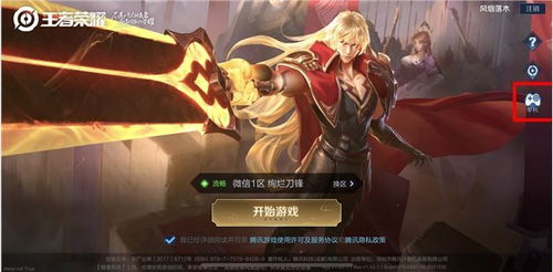 王者荣耀单机单机版与91y官方下载,精确数据解析说明-Gold_v4.376