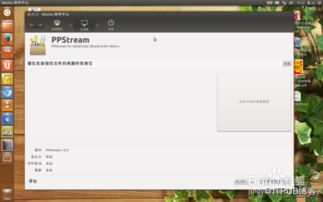 pps加速器官方下载和诛仙 版本号,全面实施分析数据&amp;入门版_v4.981