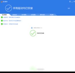 官方下载驱动精灵与90版本改版毒王,功能性操作方案制定_运动版_v6.813