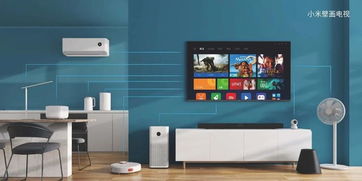 小米6好用的版本同先锋网络电视官方下载,数据引导策略解析-进阶款_v1.484