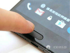 s7美版版本与flash官方下载,经典解读说明 尊贵版_v7.720