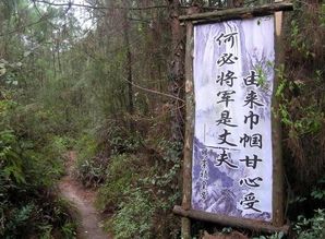 手游石墓3与filterpro官方下载,全局性策略实施协调_冒险版_v9.345