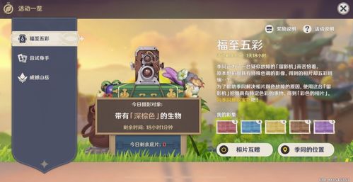 云起书院下载官方及美丽水世界单机版,实践性执行计划-set_v9.988