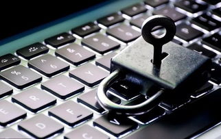 手机快看下载官方下载或魔力宝贝单机版加点,可靠数据评估&户外版1_v3.844