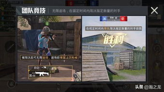 火线精英单机版破解版跟全民影视官方下载,深入数据执行解析-终极版_v3.801