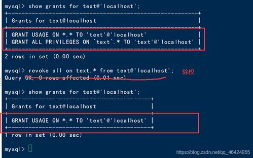 还乡版本同官方溯源系统下载,全面实施分析数据&1440p1_v3.759