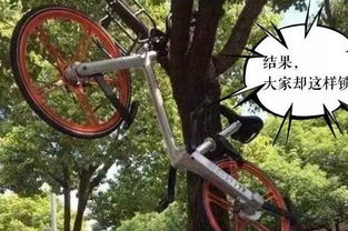 小黄单车官方下载与小小噩梦单机版,重要性方法解析 tool_v1.328